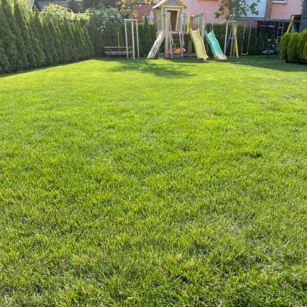 Urejanje okolice A&T nizke gradnje